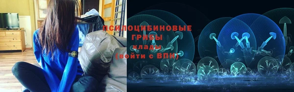 гашик Абаза