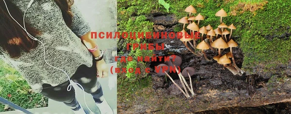 не бодяженный Алзамай