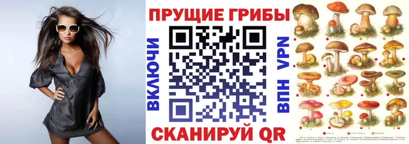 это официальный сайт  Кулебаки  Галлюциногенные грибы MAGIC MUSHROOMS  KRAKEN зеркало 