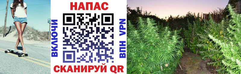 Бошки Шишки THC 21%  Кулебаки 